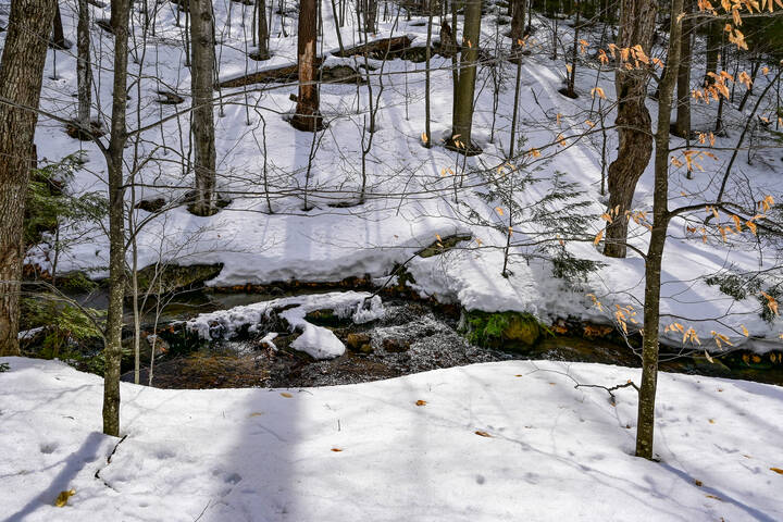 Прощание с зимой