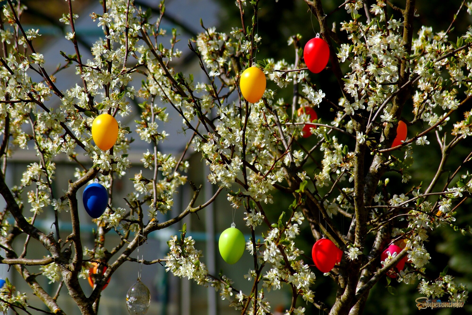 Светлое, ясное утро пасхальное 