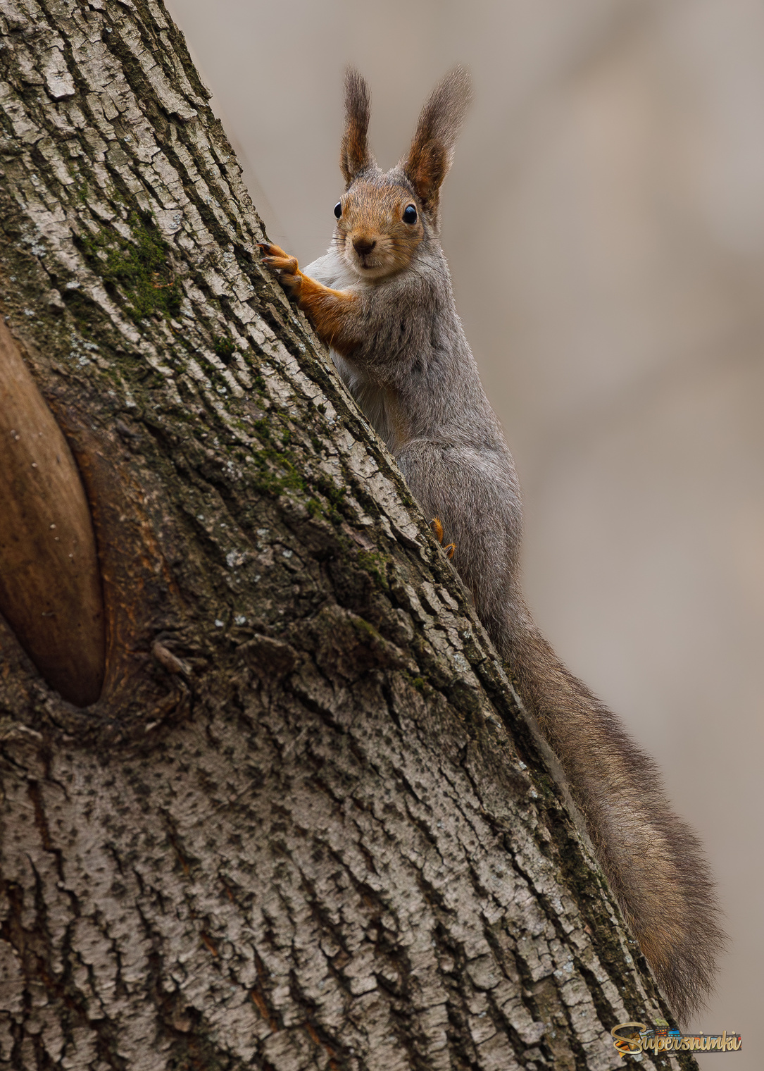 Минута познания