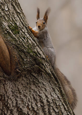 Минута познания