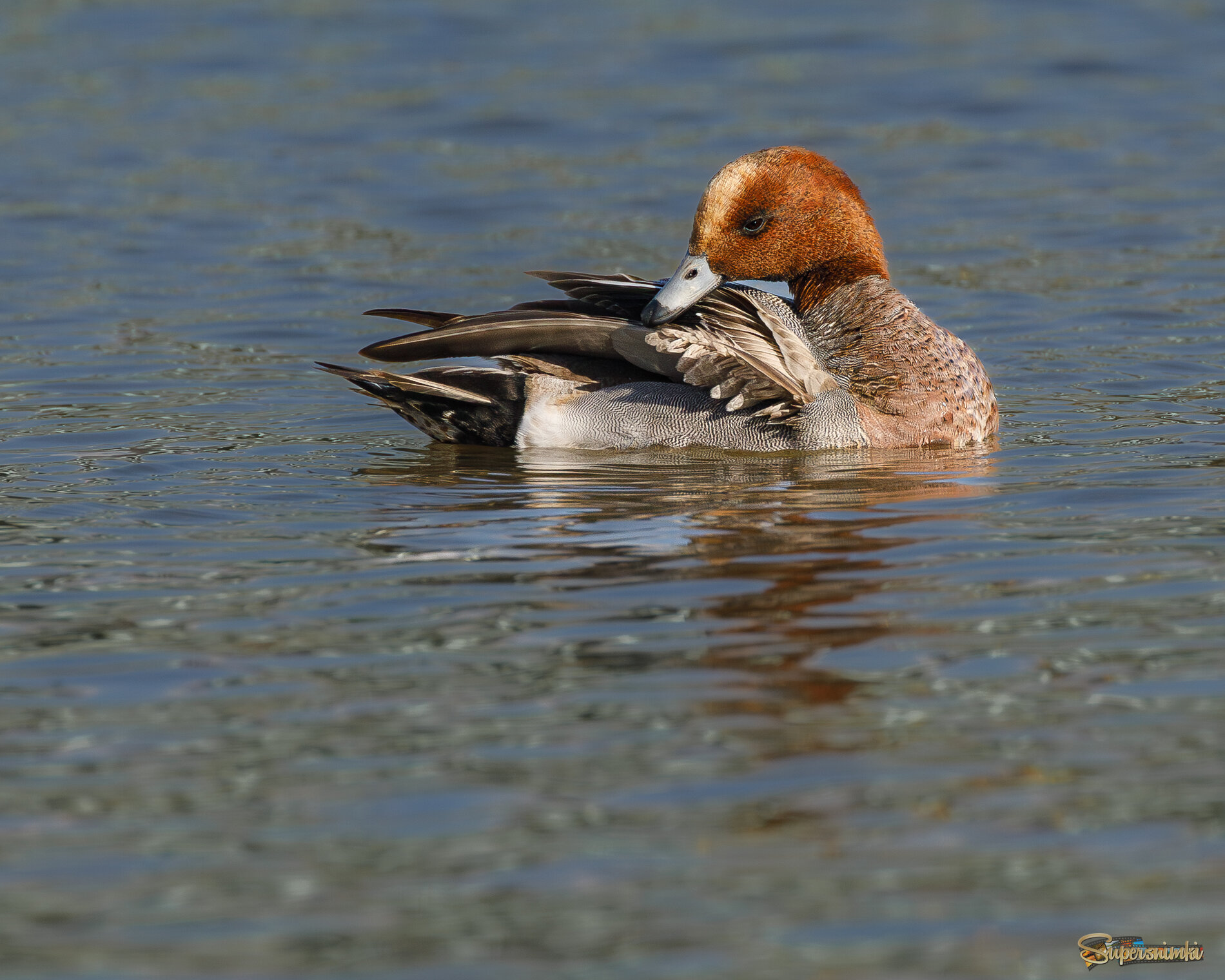 Пёрышки почистить