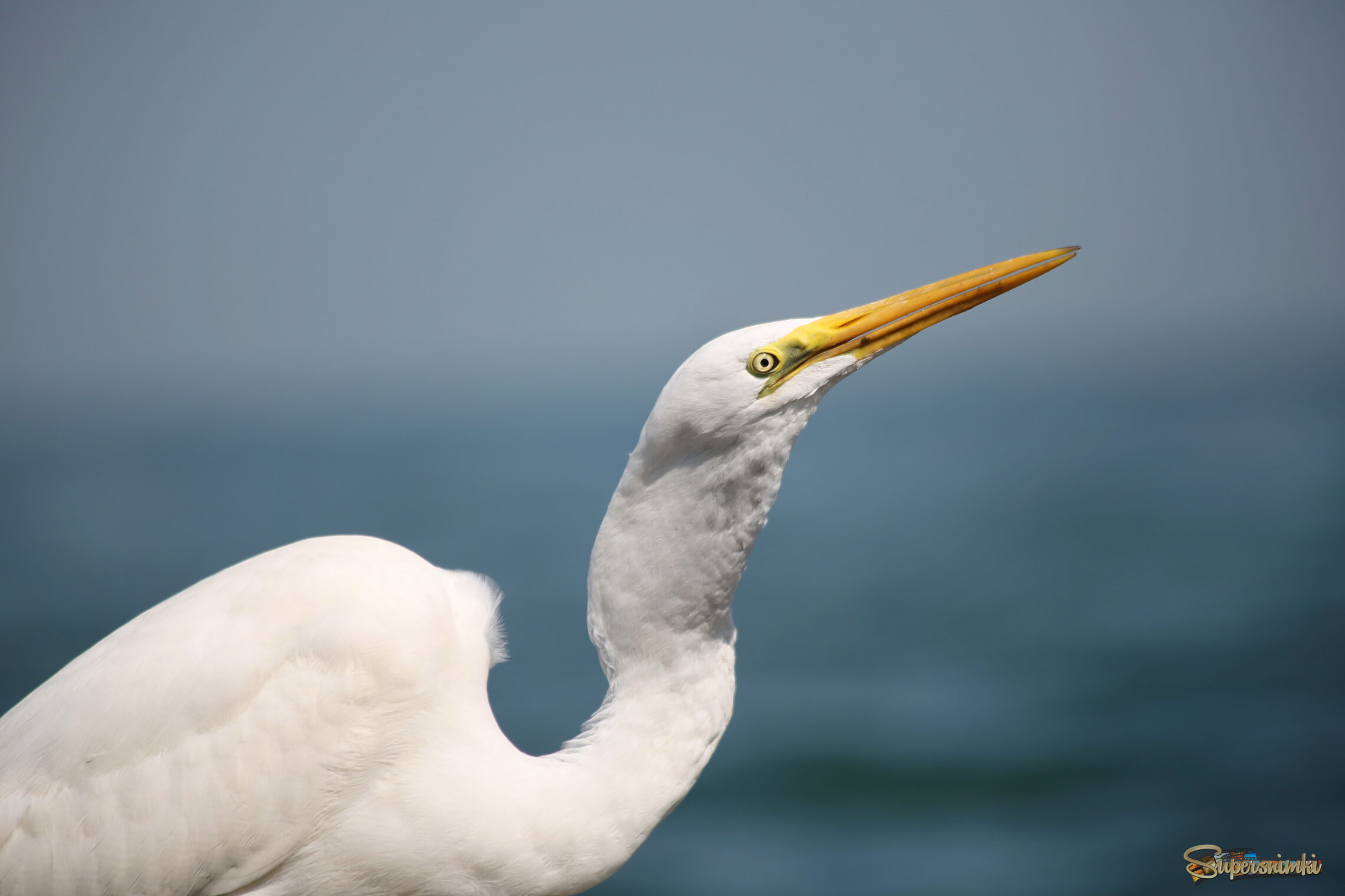 На берег моря