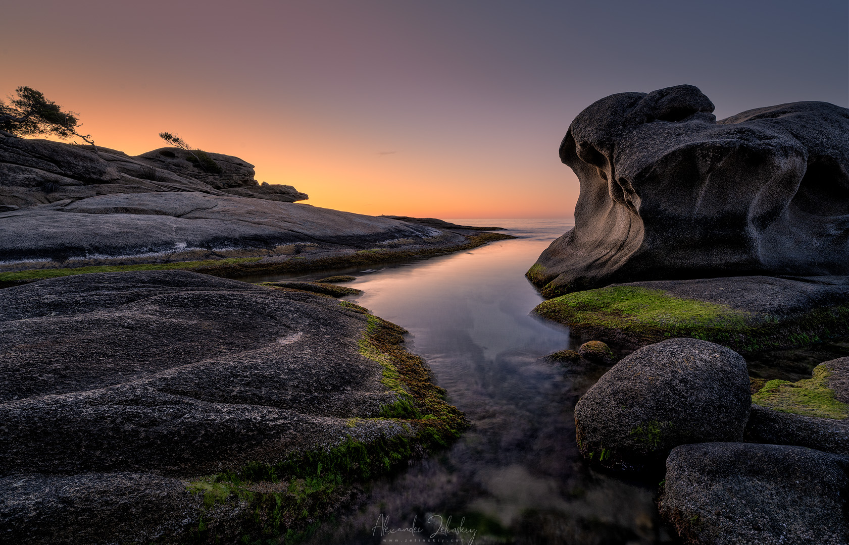 Дневник одного утра