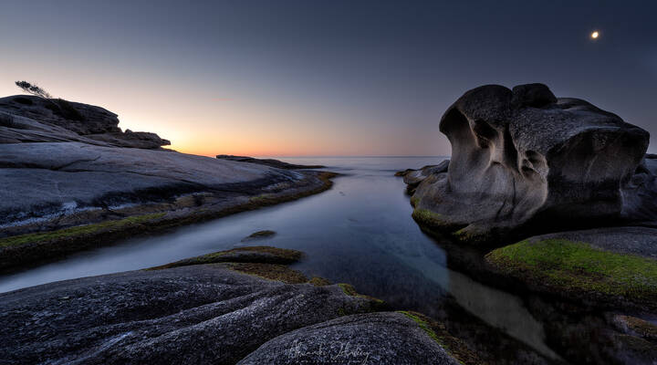 Дневник одного утра