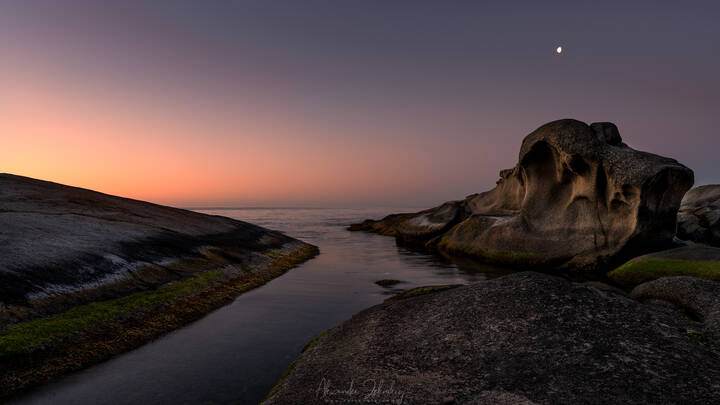 Дневник одного утра