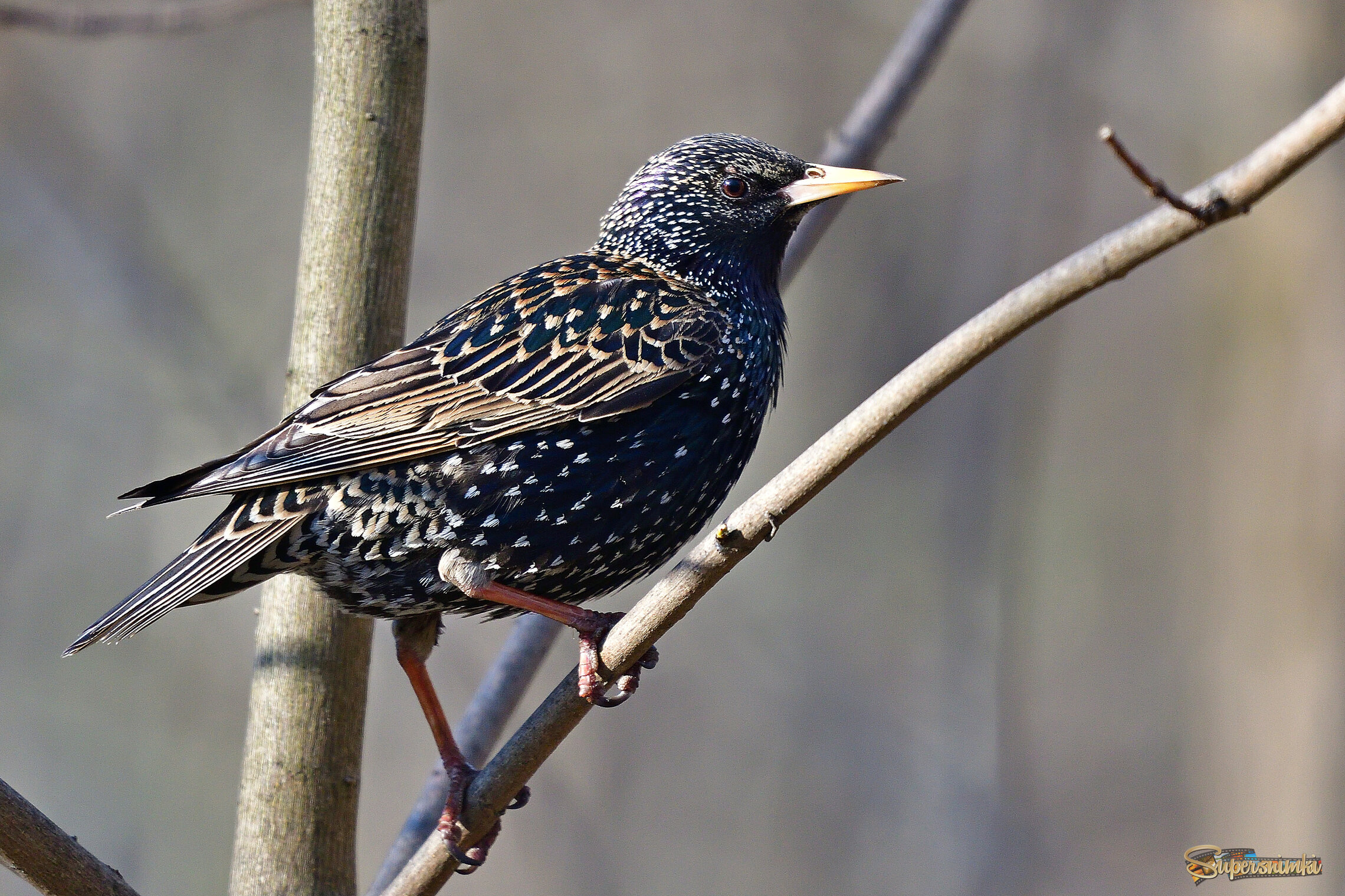 69de054586c8ce9e8a9f5a04