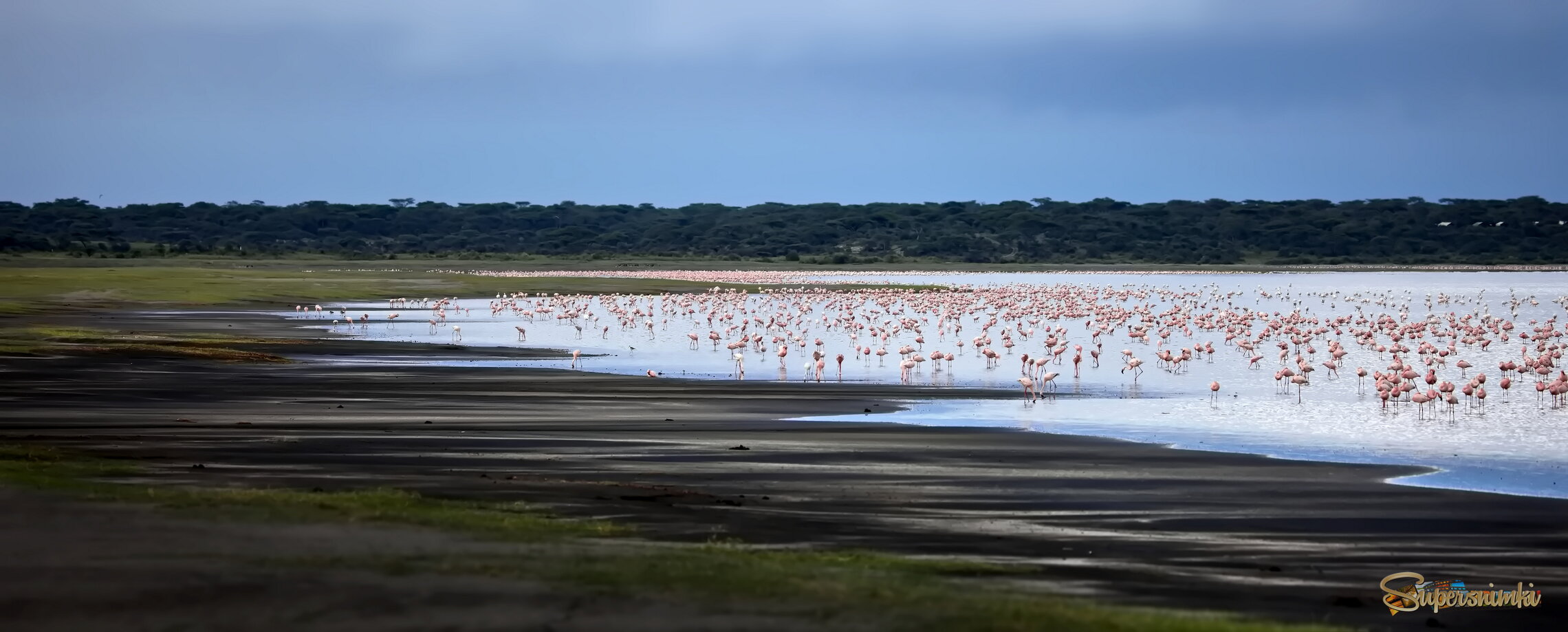 Естественная среда обитания