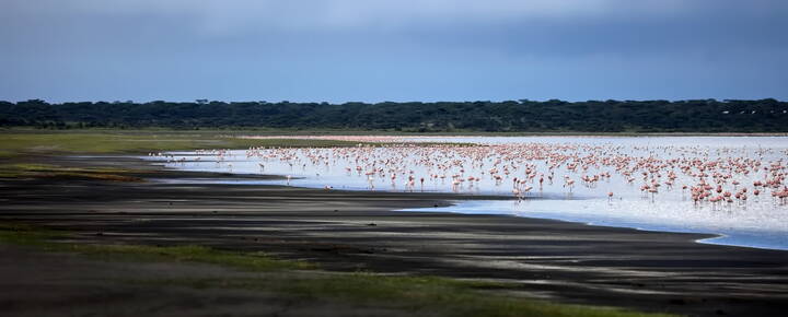 Естественная среда обитания