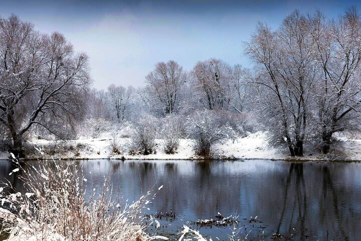 Зимнее утро