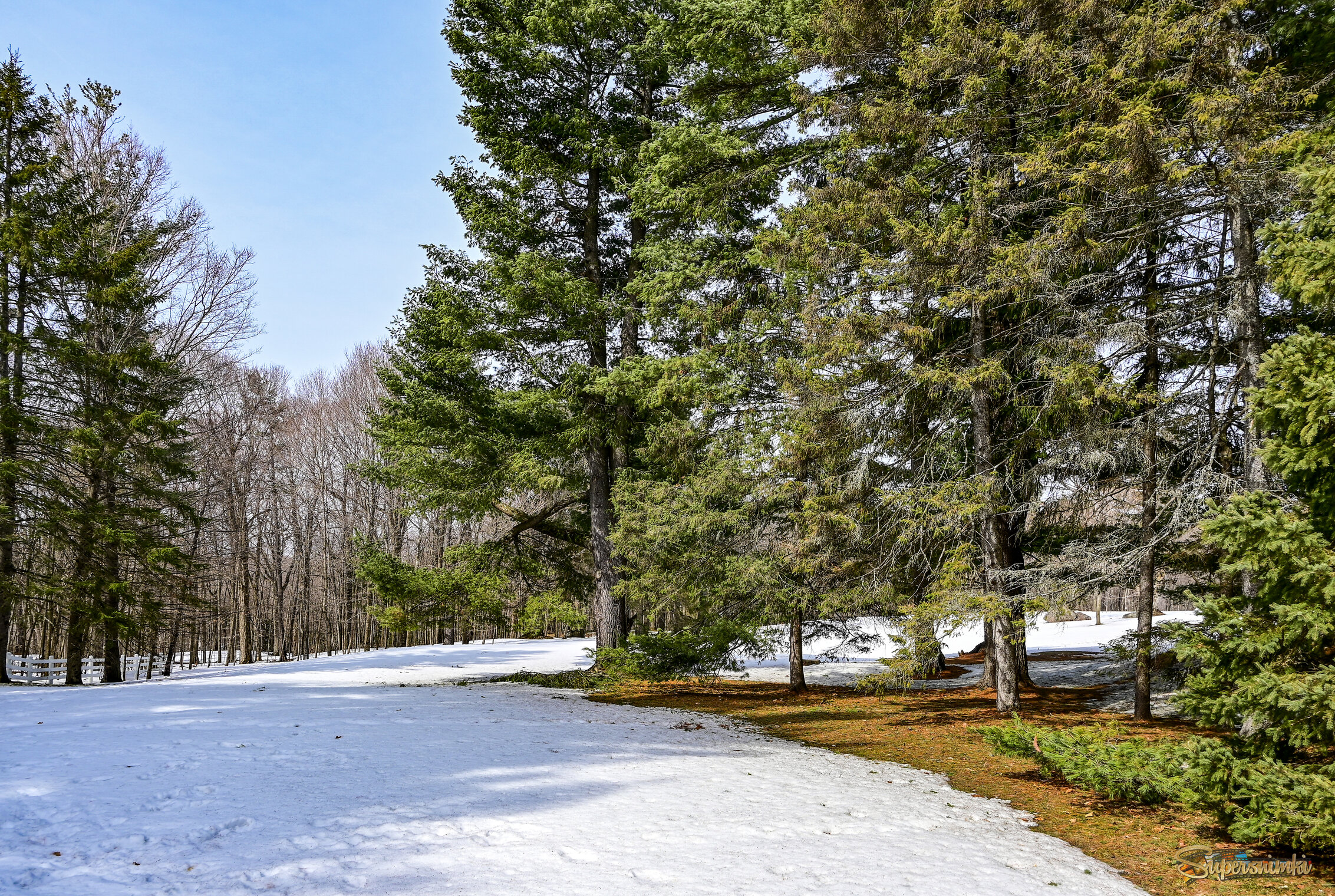 В холмах Гатино