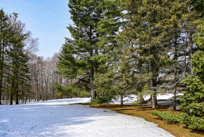 В холмах Гатино
