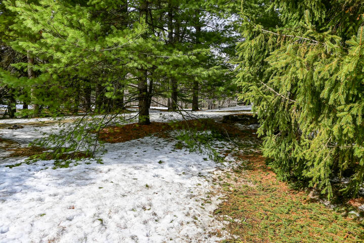 В холмах Гатино