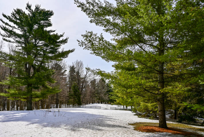 В холмах Гатино