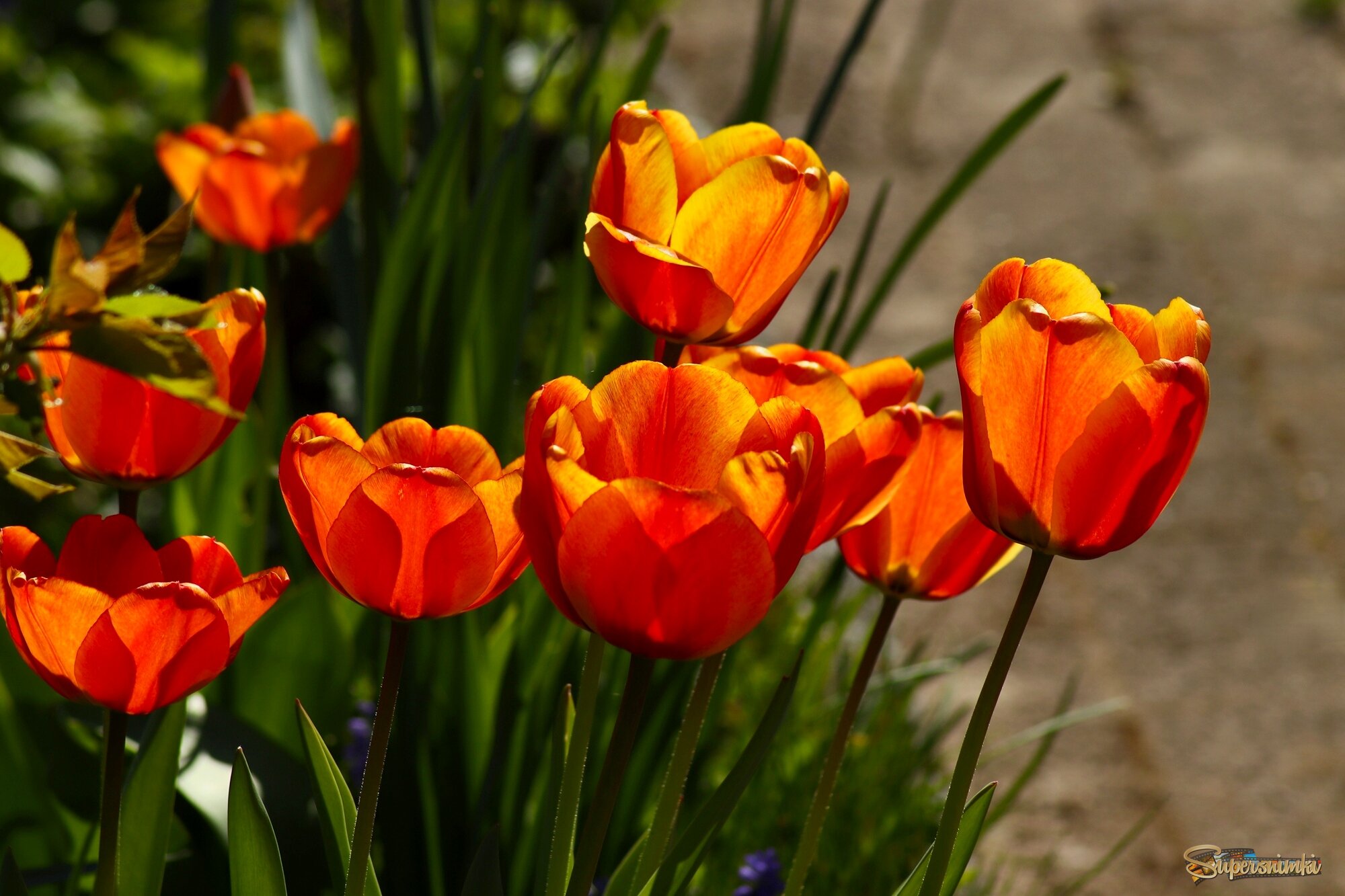 Доброе утро