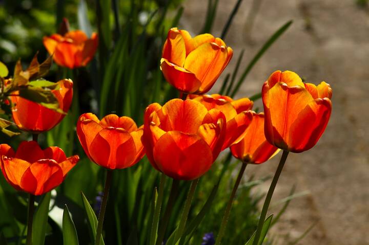 Доброе утро