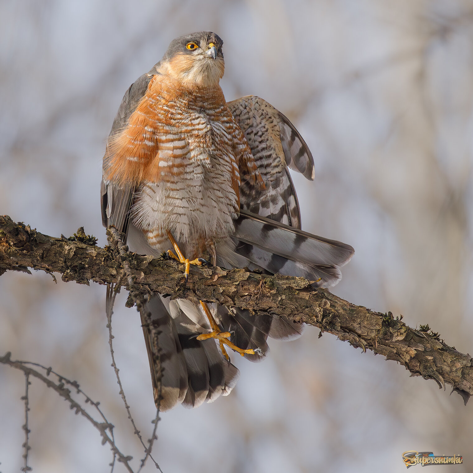 Ножки-ручки затекли