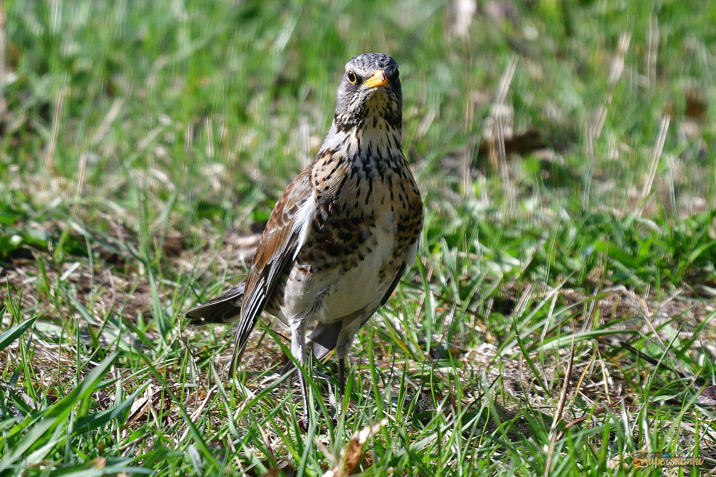 69df6624a395c8b6789f5a04