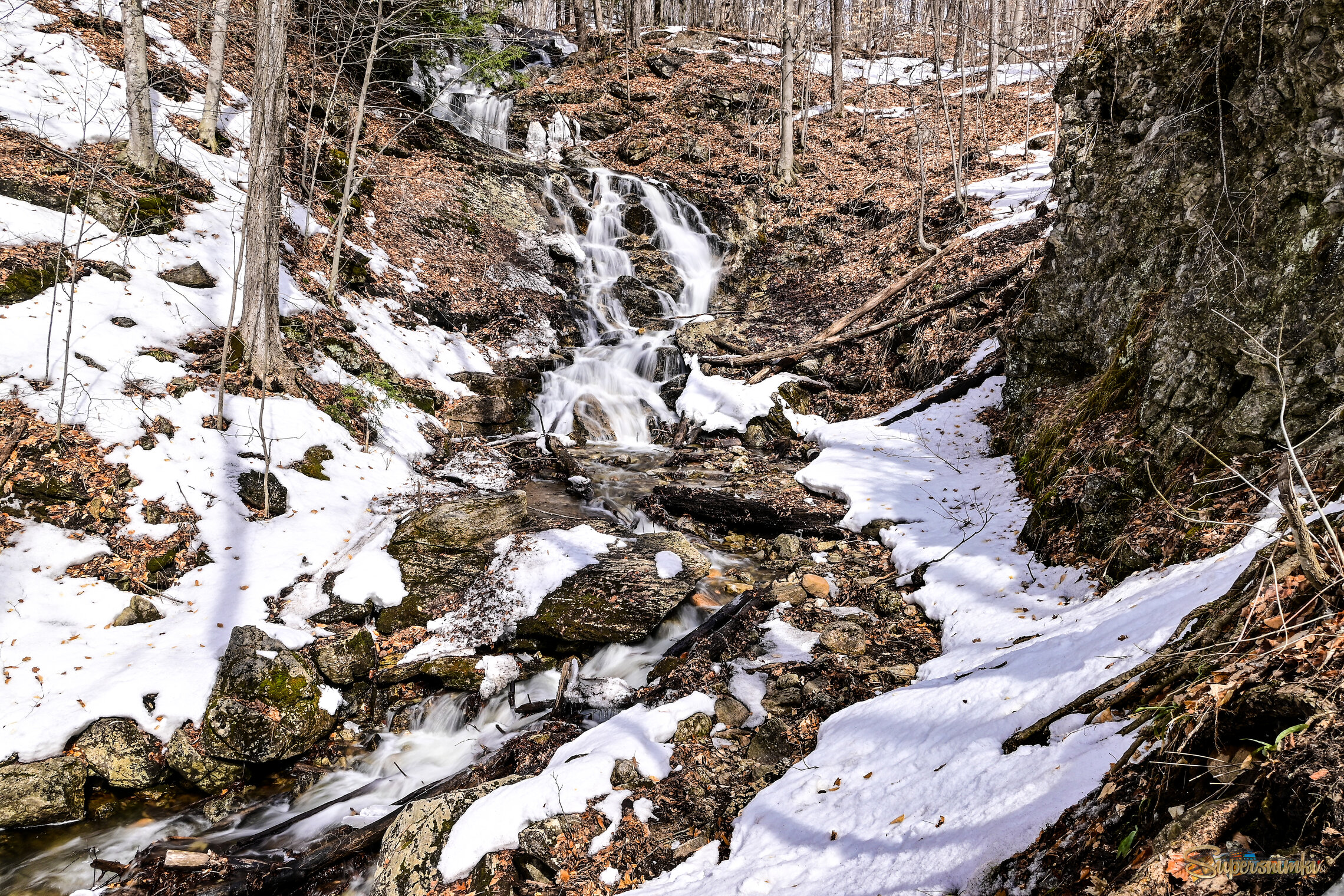 По ископаемой листве