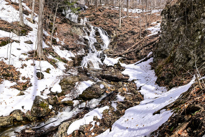 По ископаемой листве