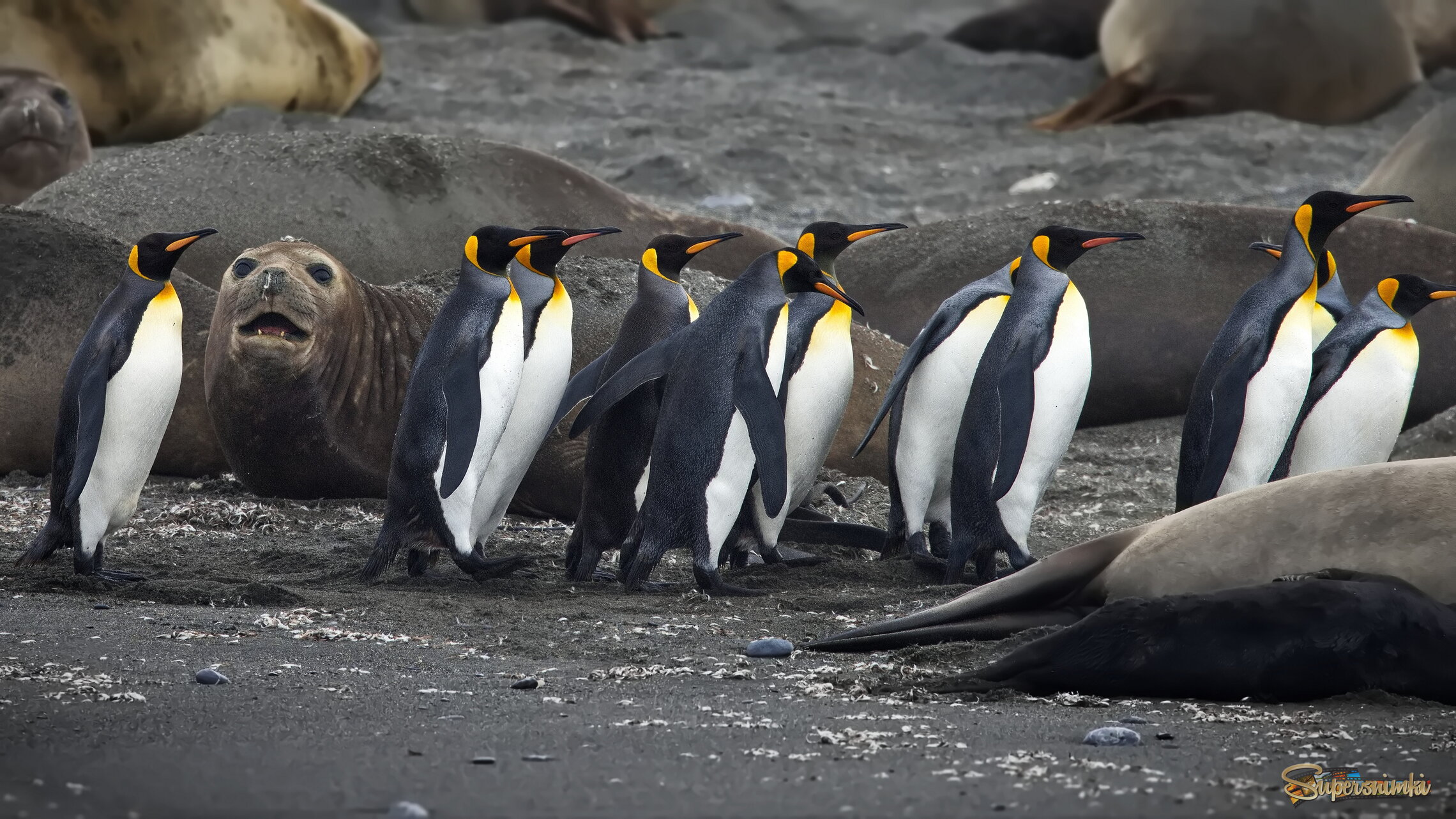 Безопасный коридор