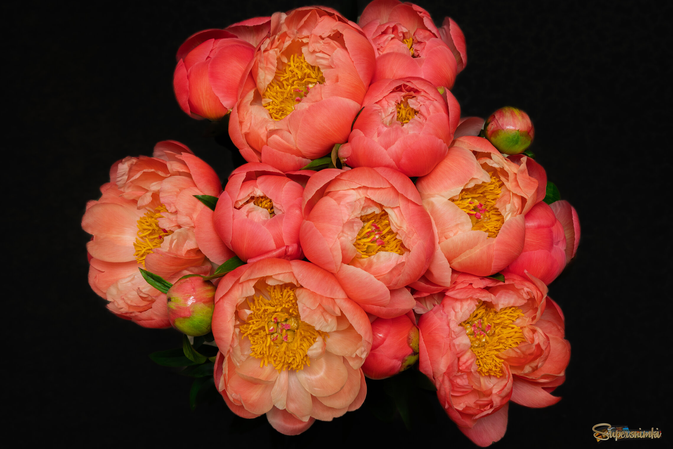 День рождения.