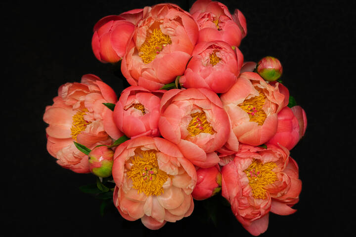 День рождения.