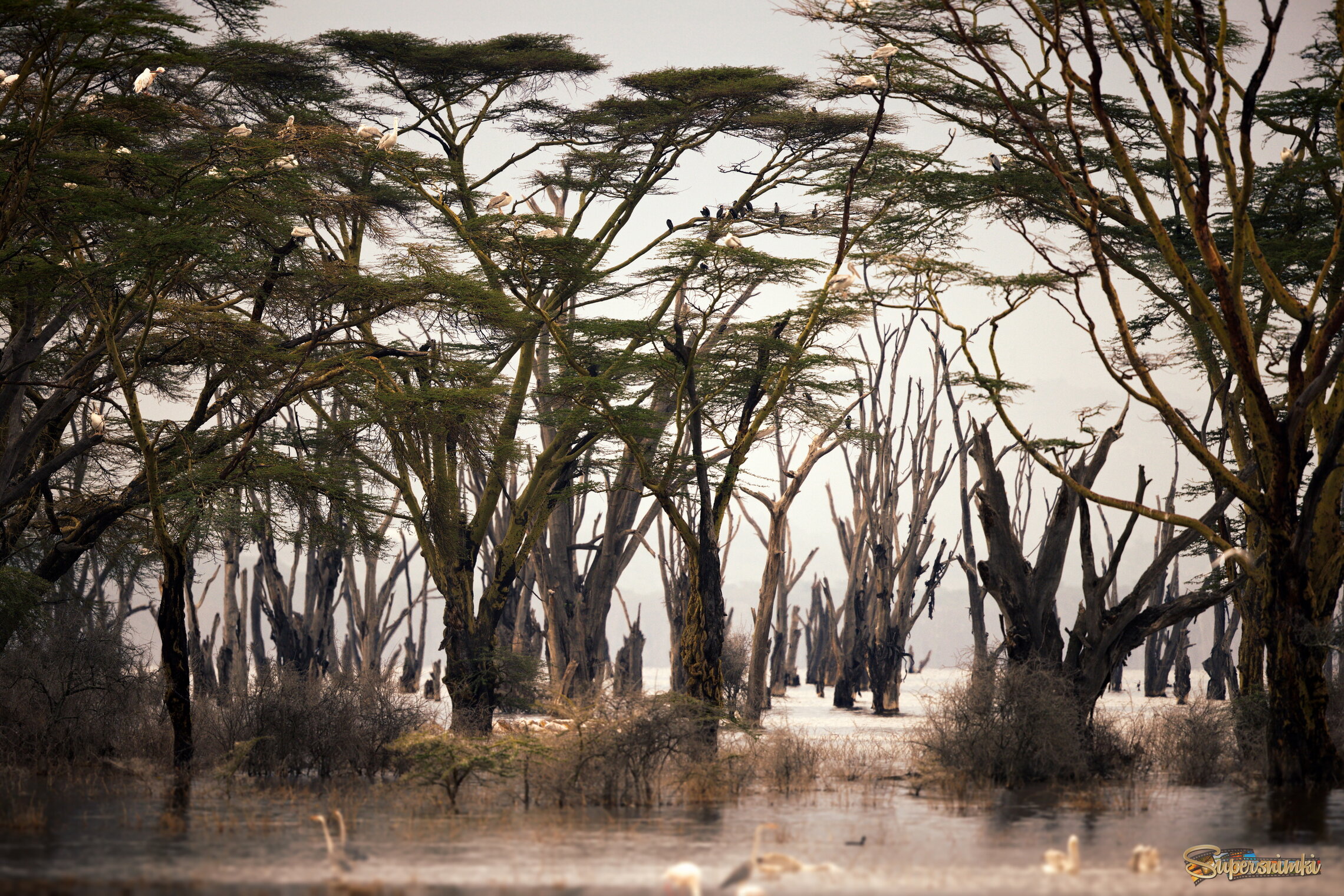 Мистическое местечко