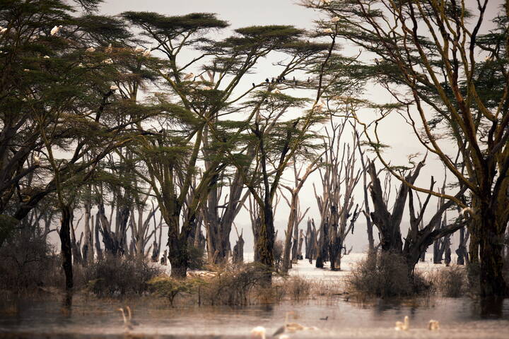 Мистическое местечко