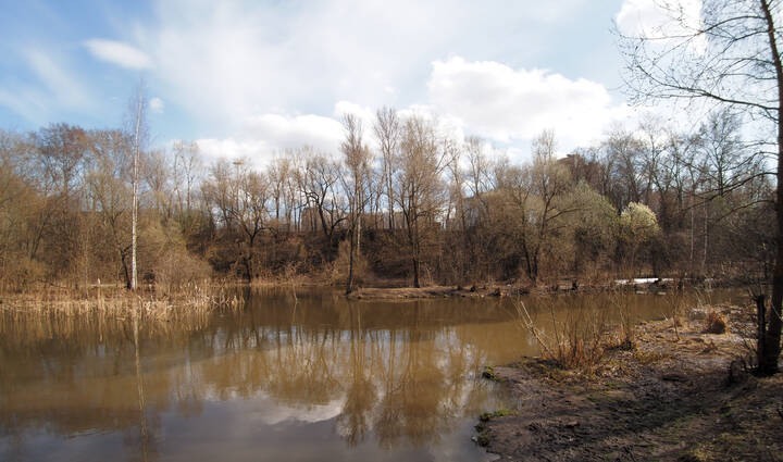 Весенняя Речка