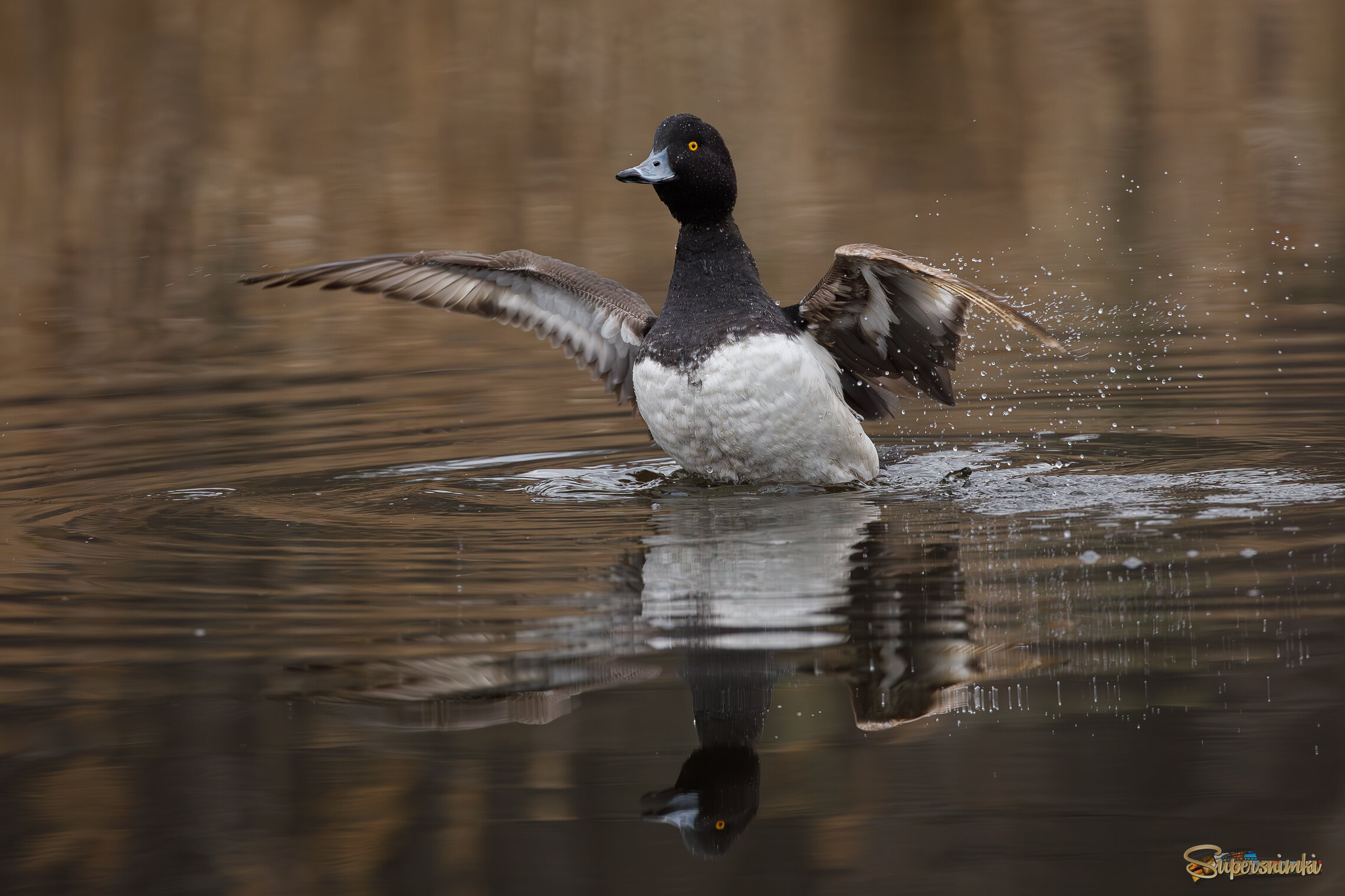 Замечательный парень