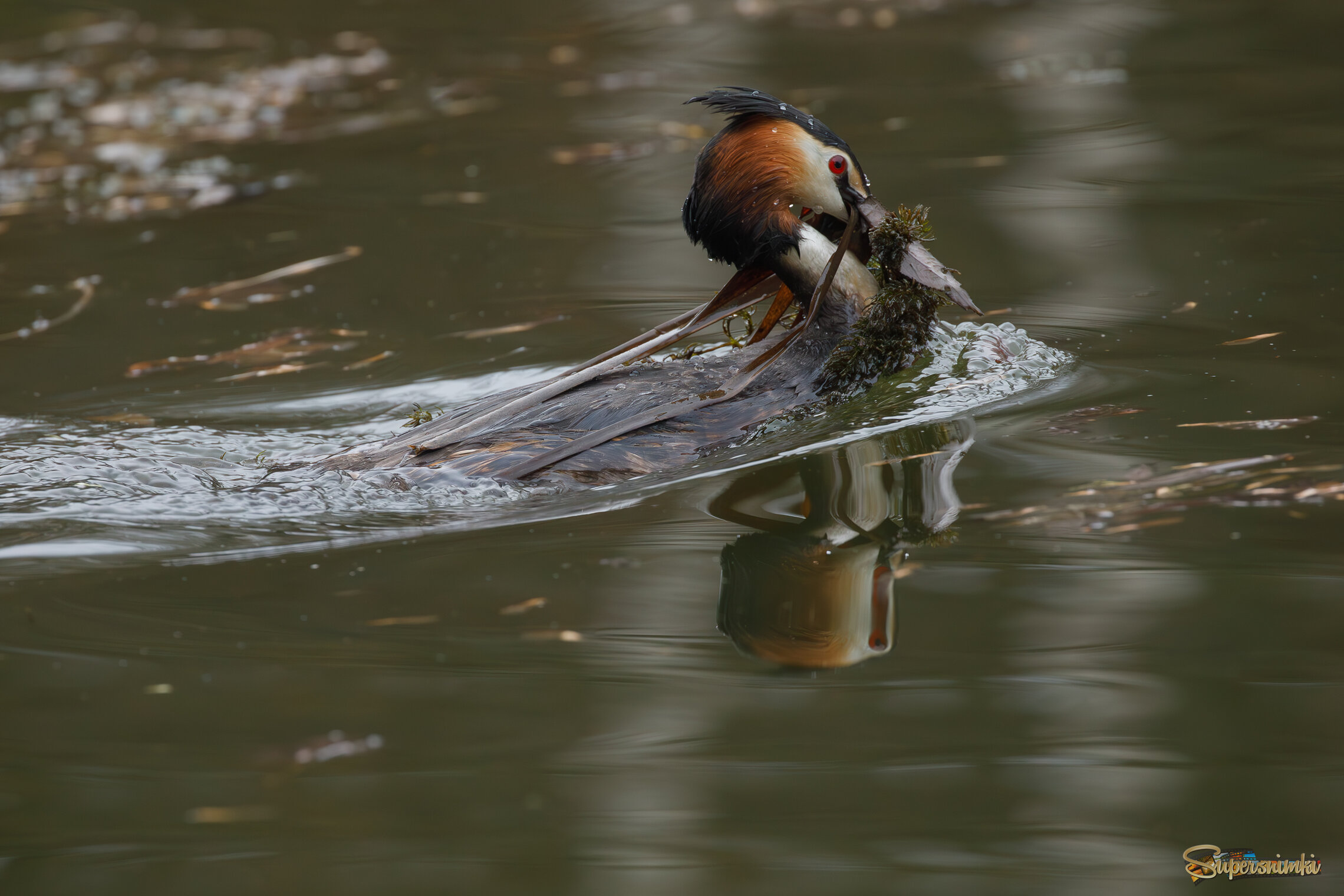 Стройматериал для гнезда