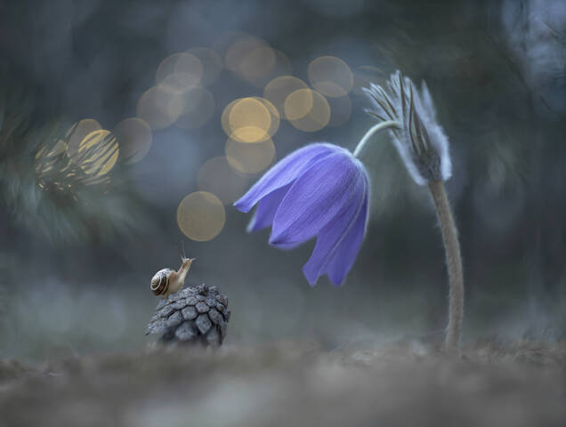 А я маленький такой...