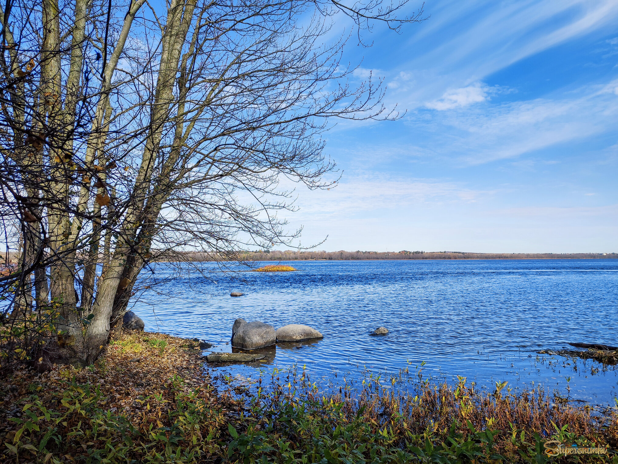 Синева голубезны