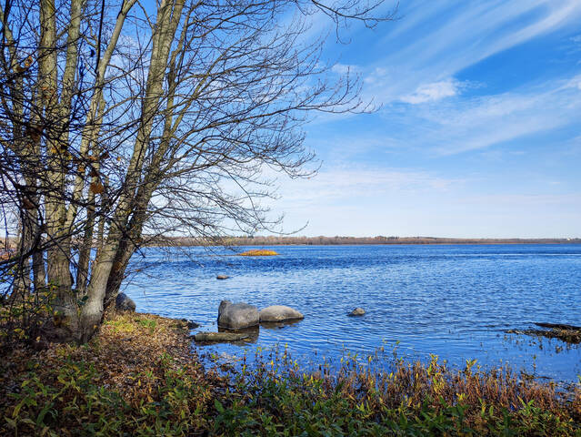 Синева голубезны