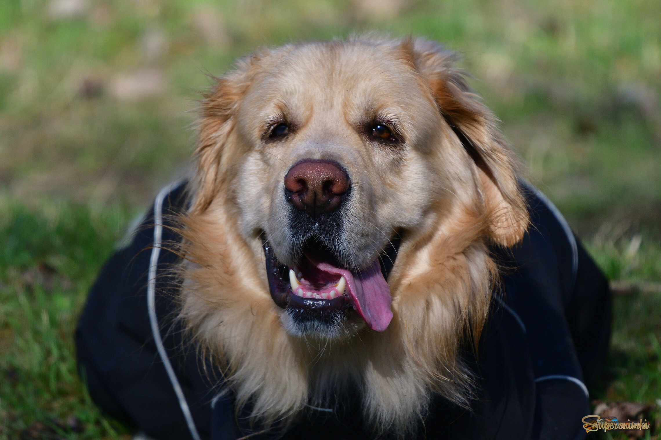 69e3538d0d80cc4d989f5a04