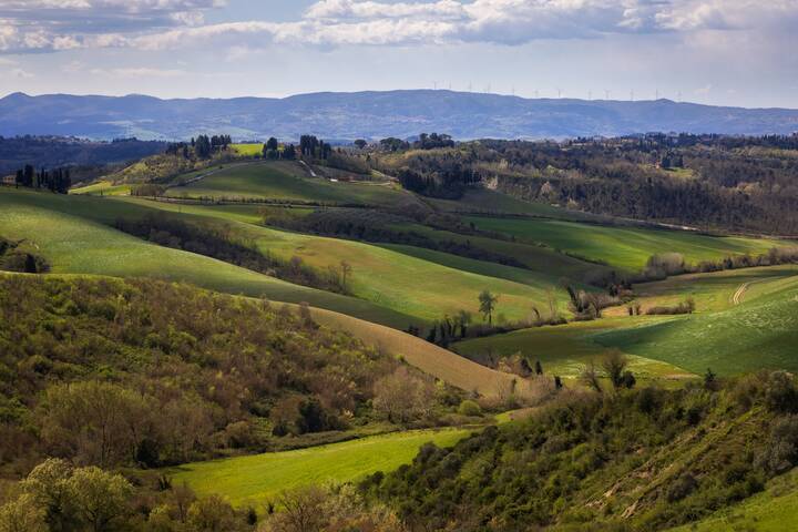 Весенняя панорама