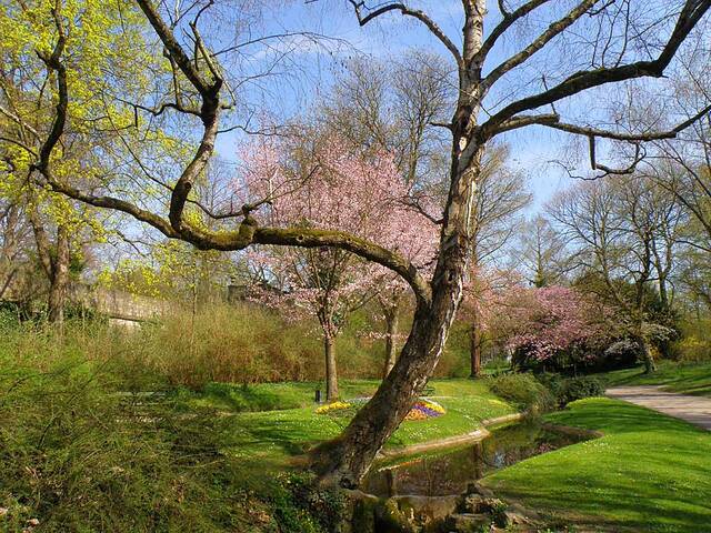 Весна приходит не ко всем.