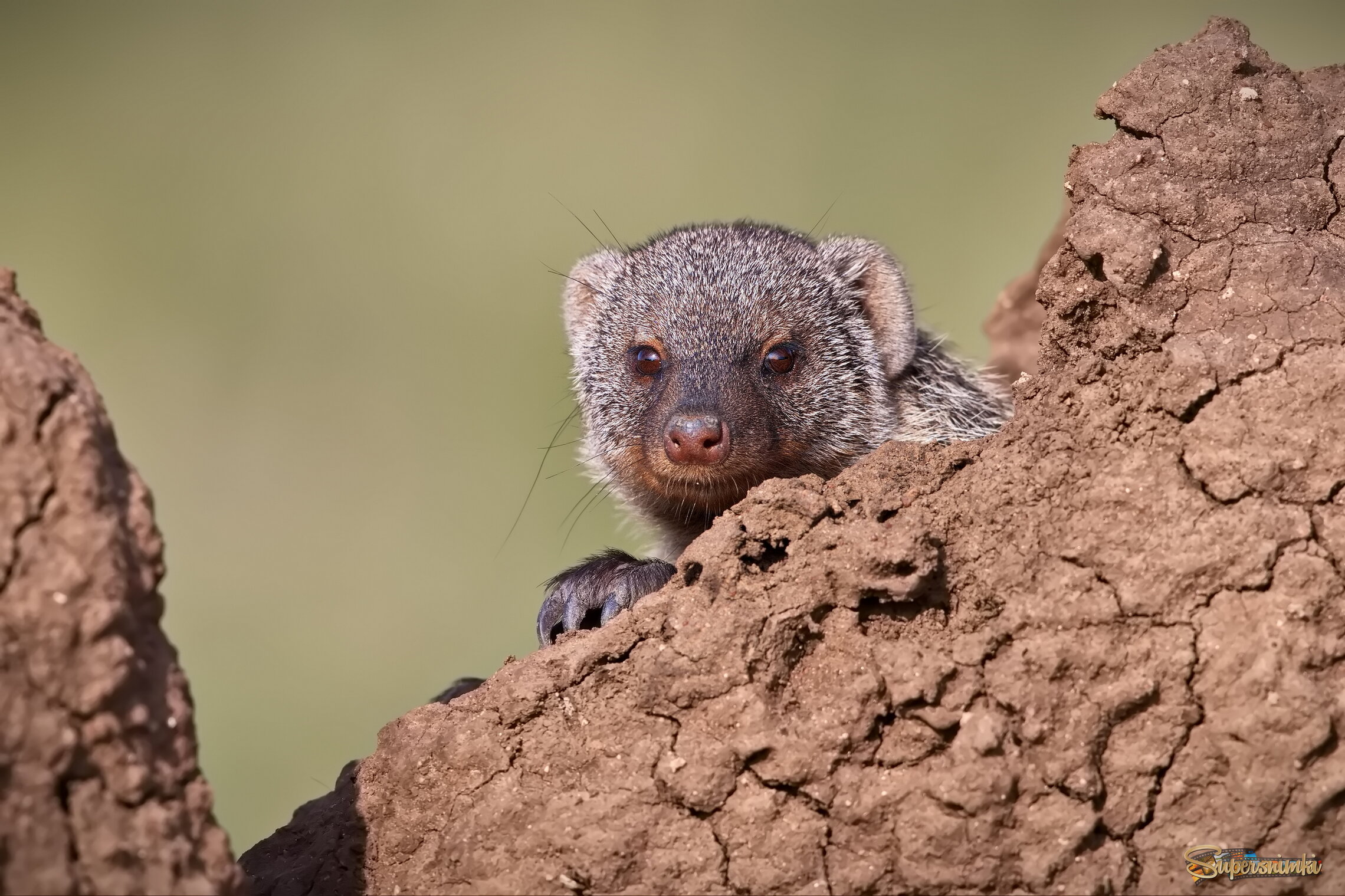 Любопытство - не порок!