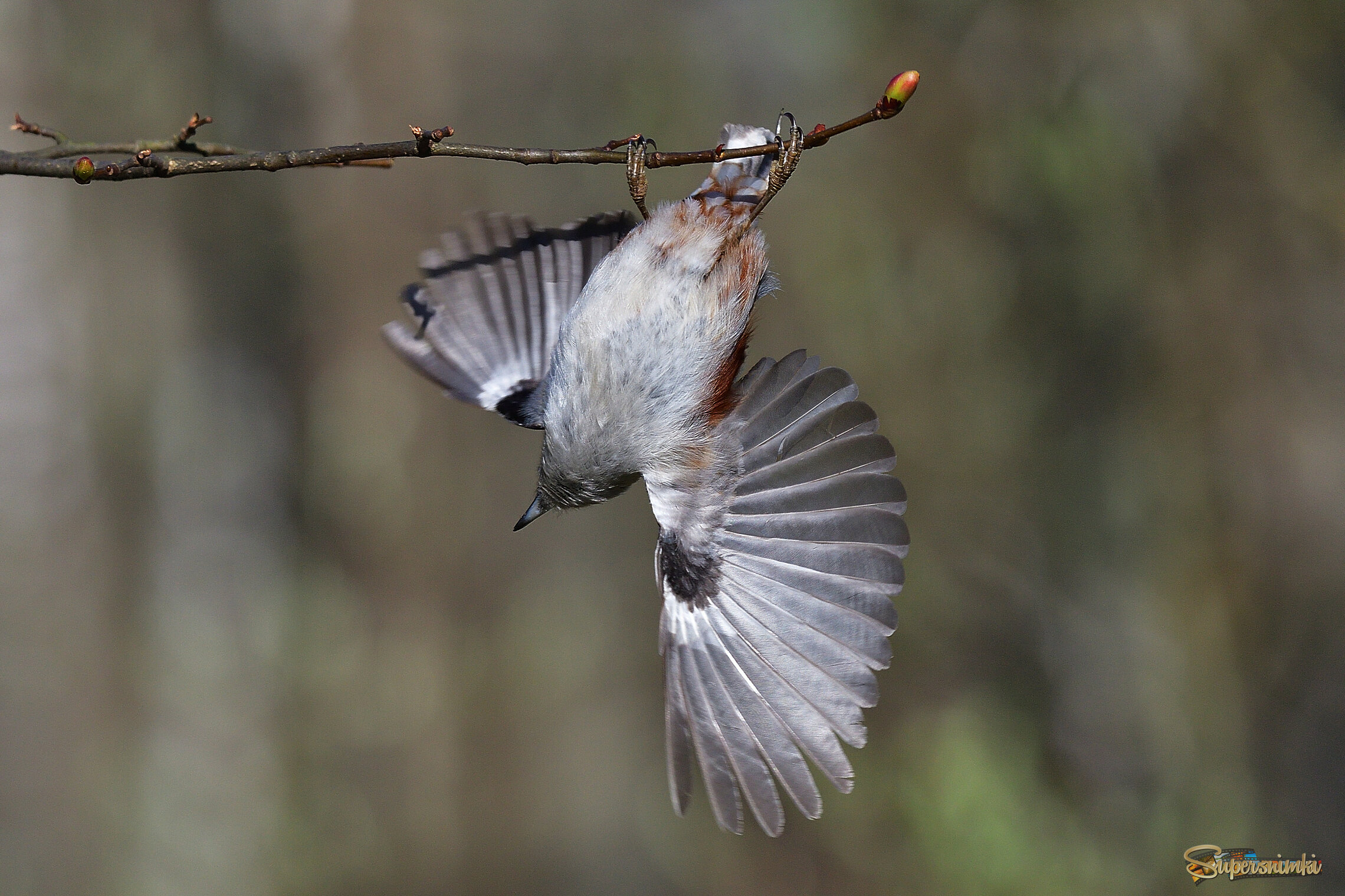 69e5e2ef379f06aff59f5a04