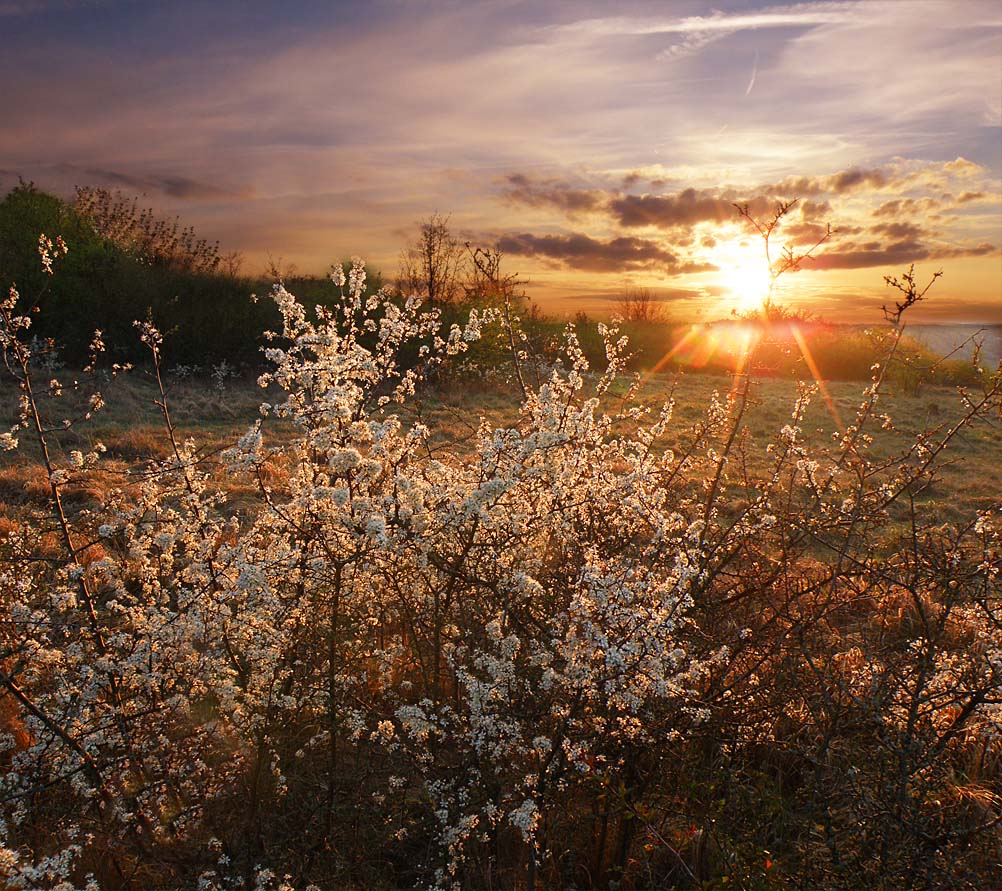 На рассвете.