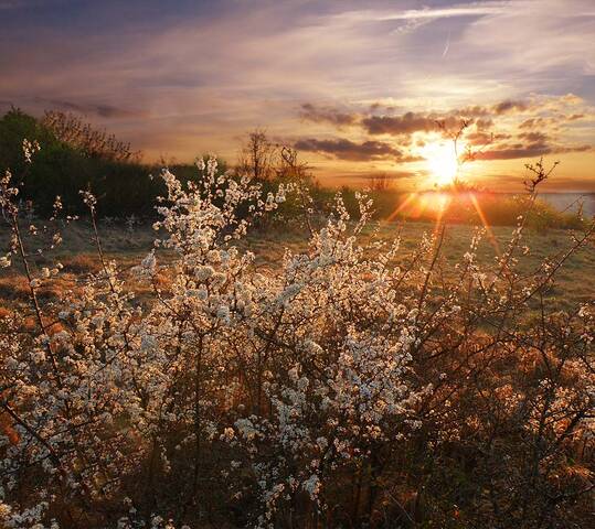 На рассвете.