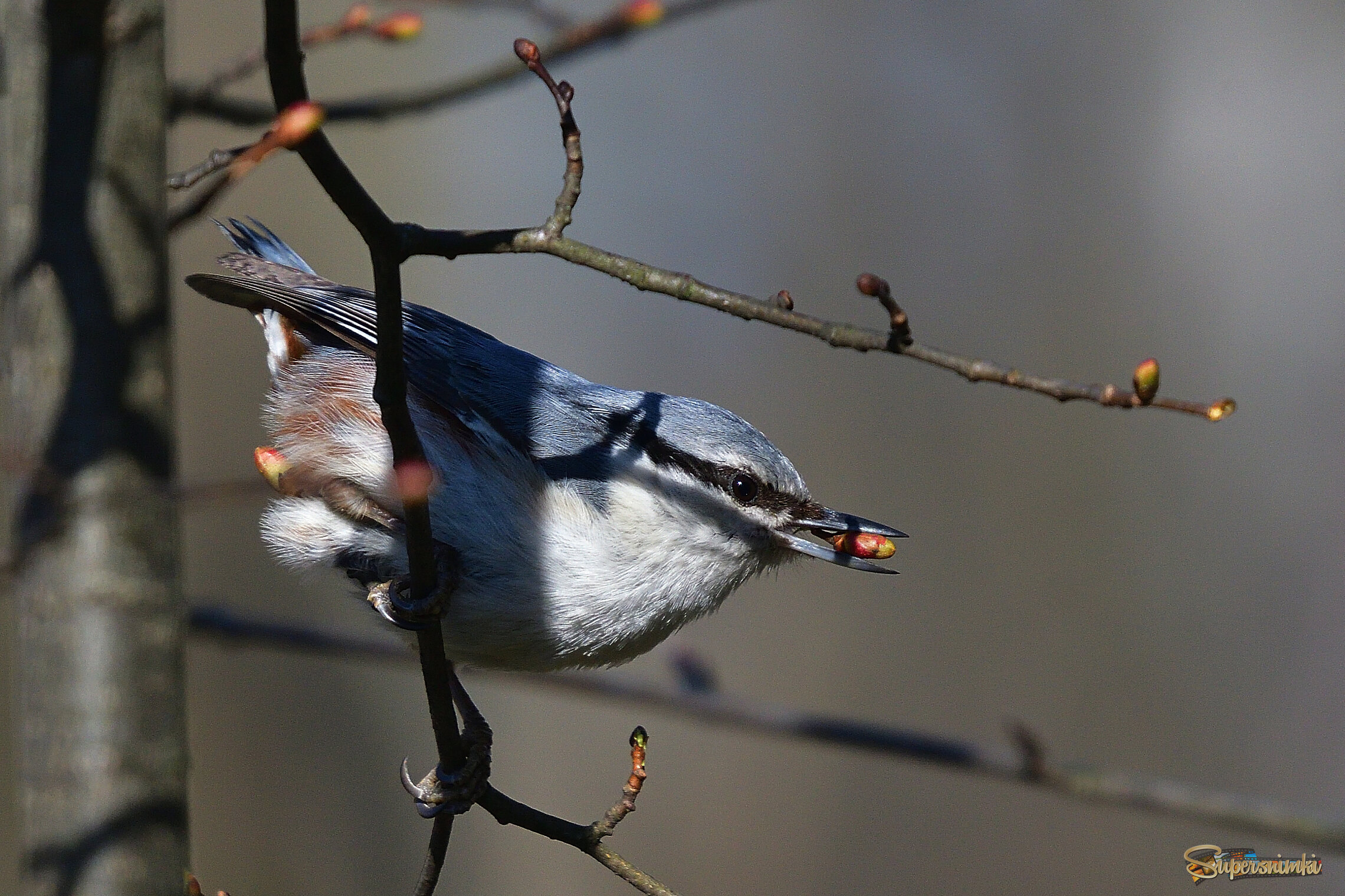 69e60f63ec8b5e3bd79f5a04