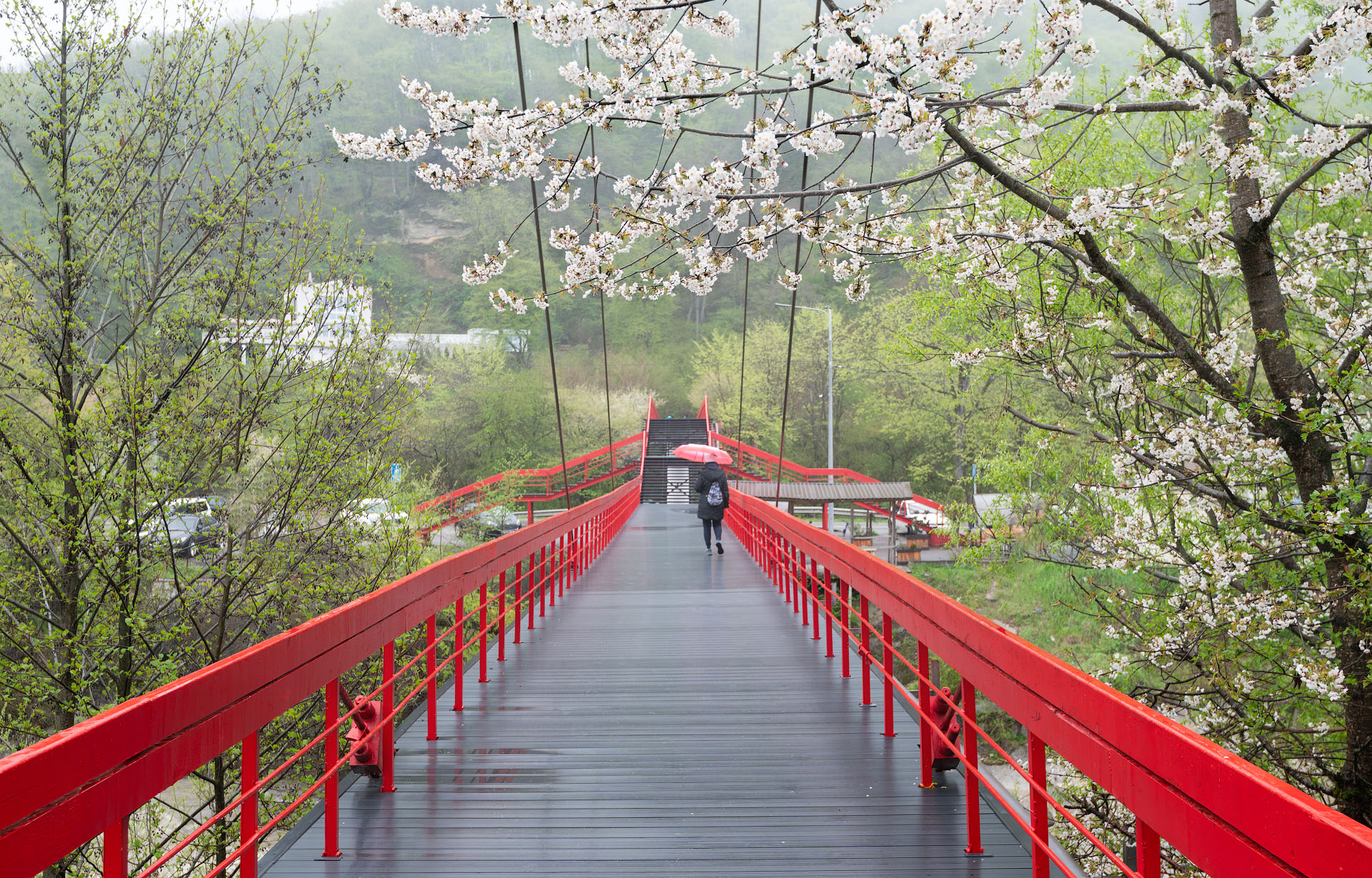 69e851507d07d4b2719f5a04