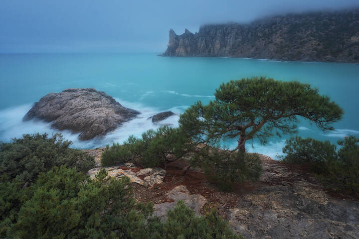 Когда Новый Свет есть, а света нет