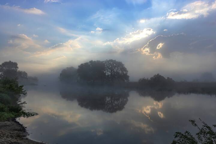 Летнее утро