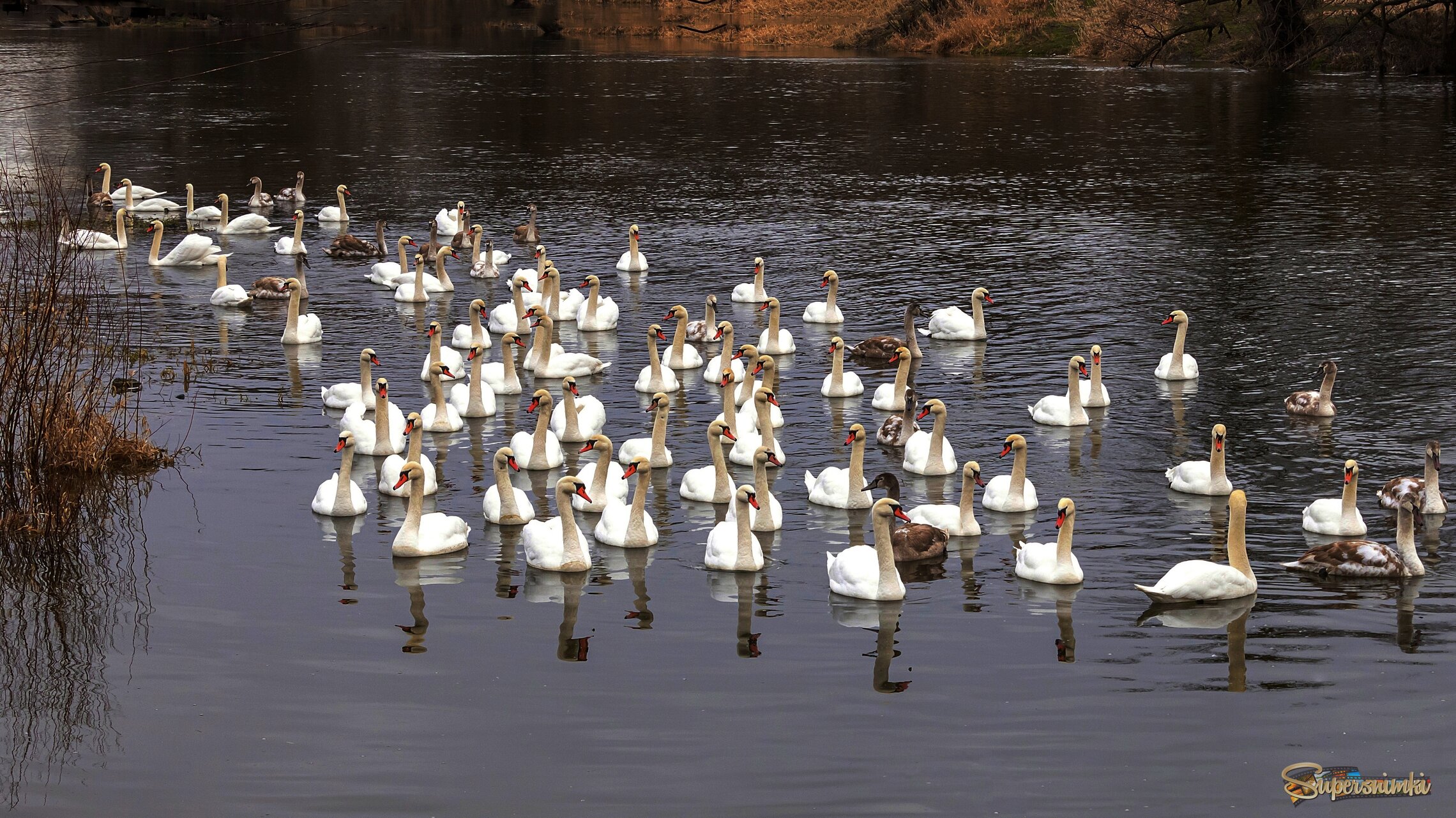 Место встречи