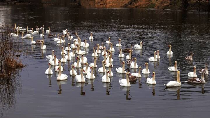 Место встречи