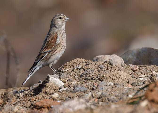 Отличная выправка
