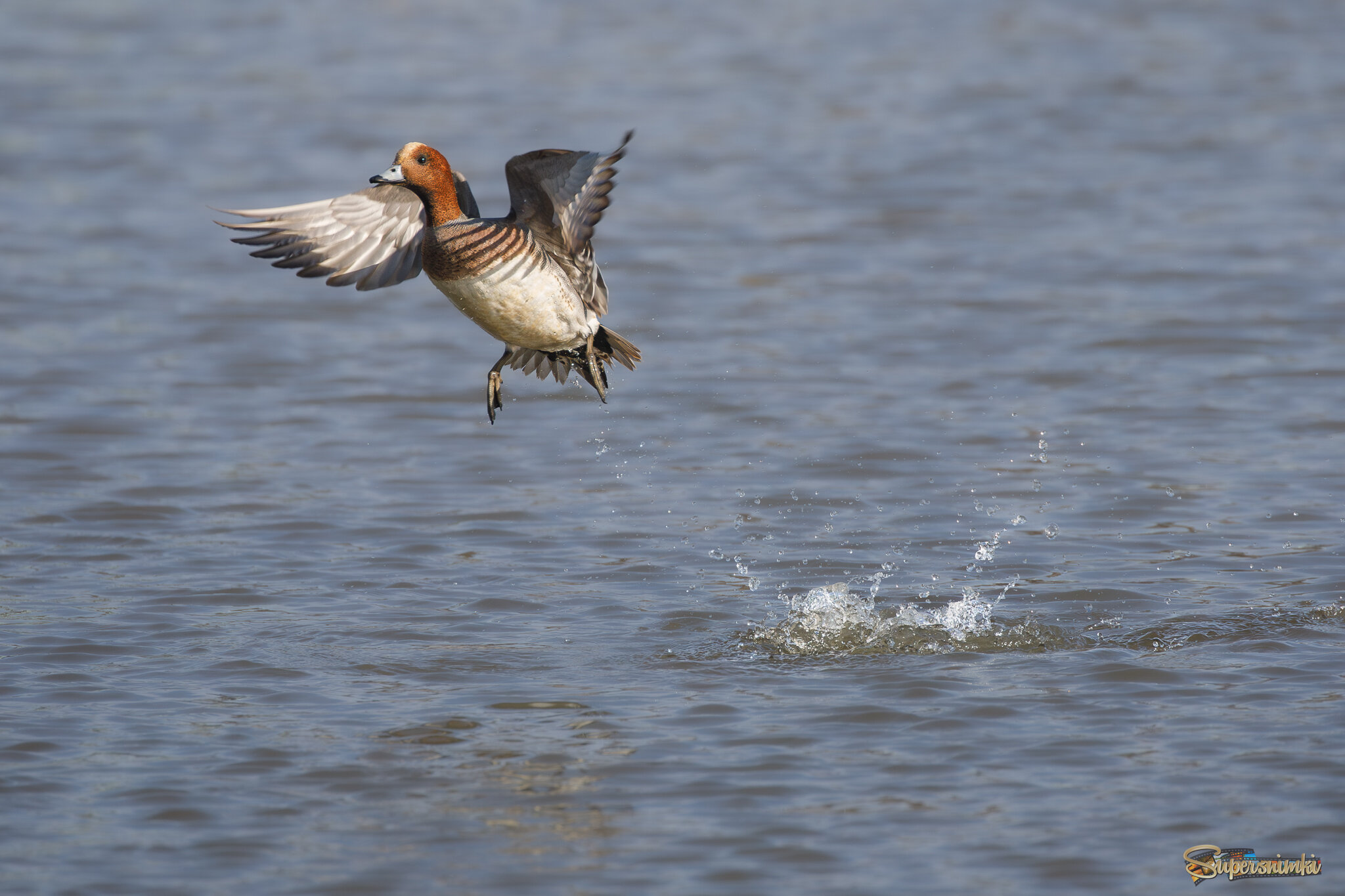 Хочу в небо!