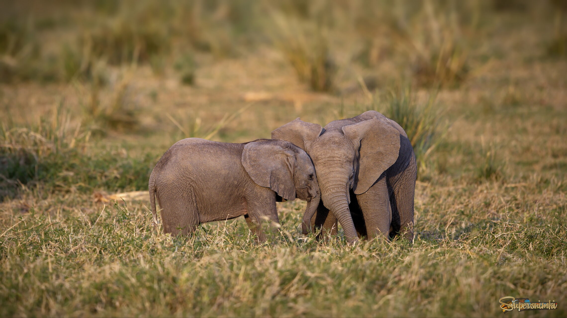 Малышковая нежность